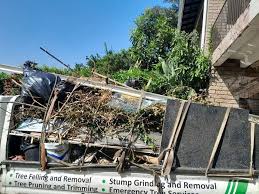 Best Moving and Downsizing Cleanouts  in Romeo, MI